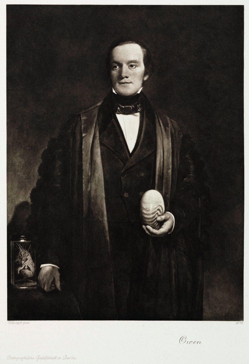 Sir Richard Owen, angielski przyrodnik i paleontolog, ok. 1845 autorstwa Unbekannt