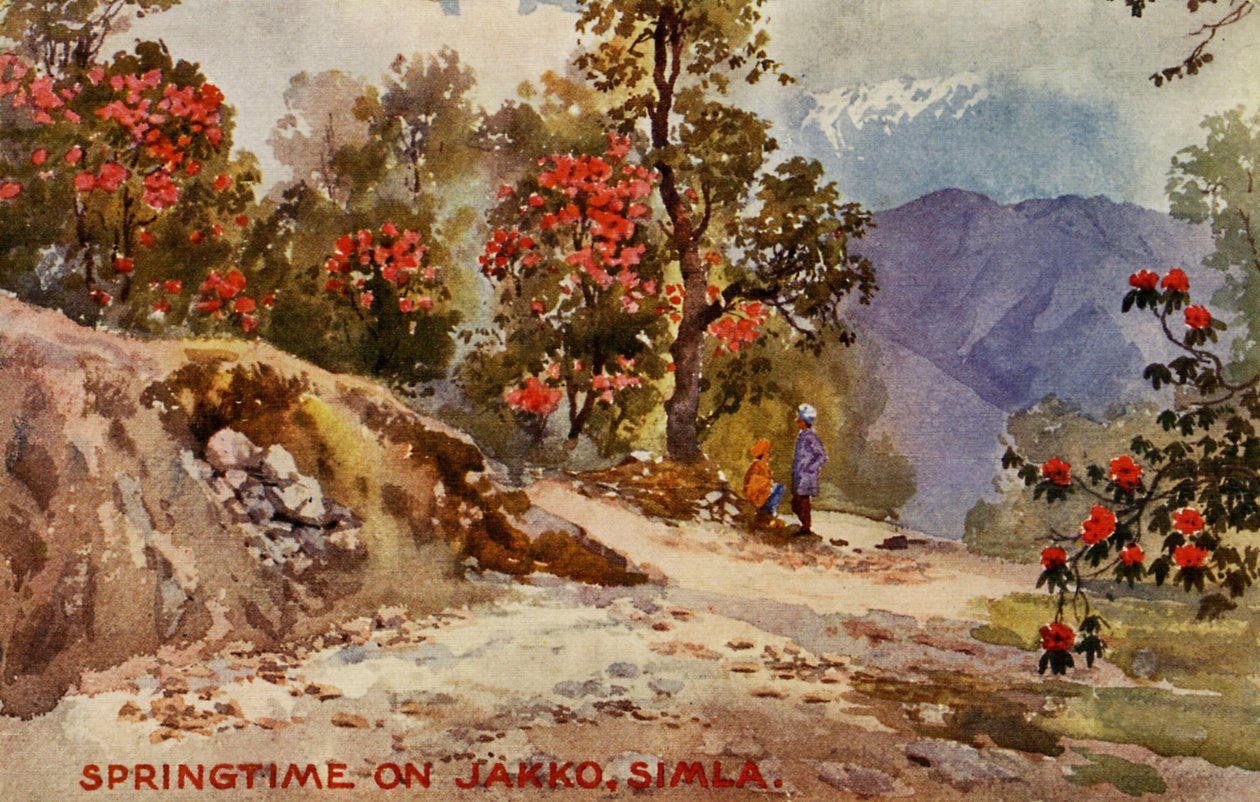 Wiosna na Jahko, Simla, Indie autorstwa Unbekannter Künstler