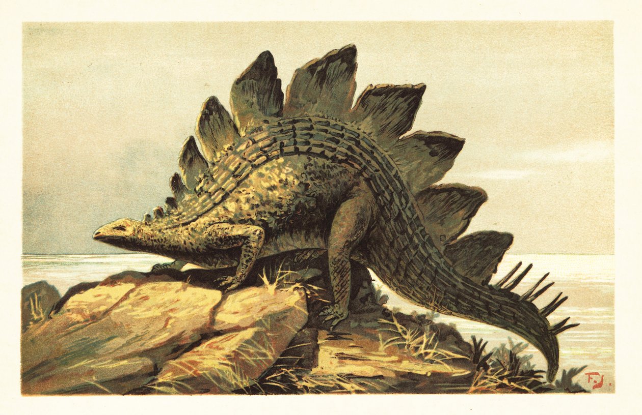 Stegozaur, wymarły rodzaj roślinożernego dinozaura. 1908 (litografia) autorstwa Unbekannter Künstler