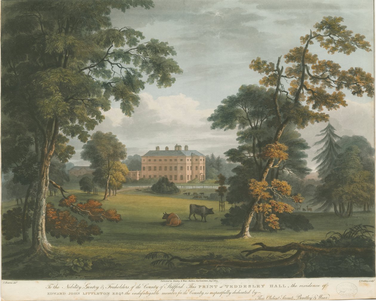 Teddesley Hall: rycina kolorowa akwatinta, bd [ok. 1825] autorstwa Unbekannt