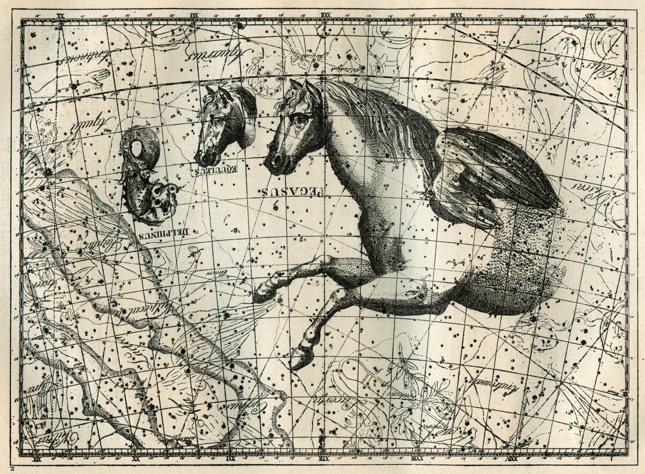 Konstelacja Pegazy rysuje jak przednia połowa konia z parą skrzydeł, Konikiem, głową konia i Delfinem. Grawer z „Les étoiles et les autres curiosites du ciel” autorstwa Camille Flammarion autorstwa Unbekannt