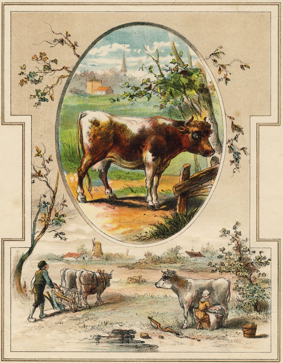 Krowa. Grawerowanie w „Mon premier Wielki Alfabet”. Bernardin-Bechet Edition, Paryż, ok. 1890. Ilustracje A. des Lilleuls. Brak strony, 46 stron. Wymiary: 31x22cm . autorstwa Unbekannt