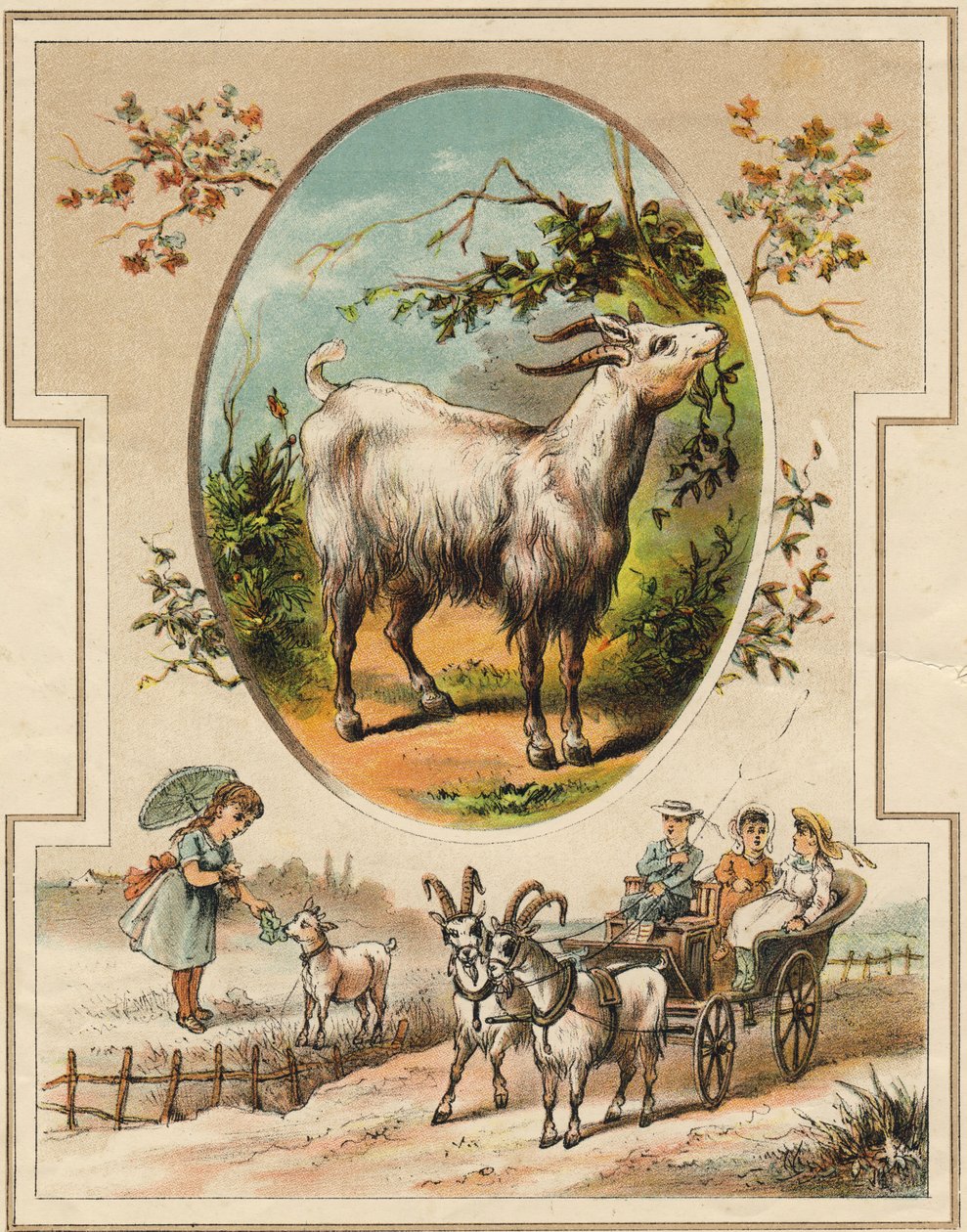 Koza. Grawerowanie w „Mon premier Wielki Alfabet”. Bernardin-Bechet Edition, Paryż, ok. 1890. Ilustracje A. des Lilleuls. Brak strony, 46 stron. Wymiary: 31x22cm . autorstwa Unbekannt