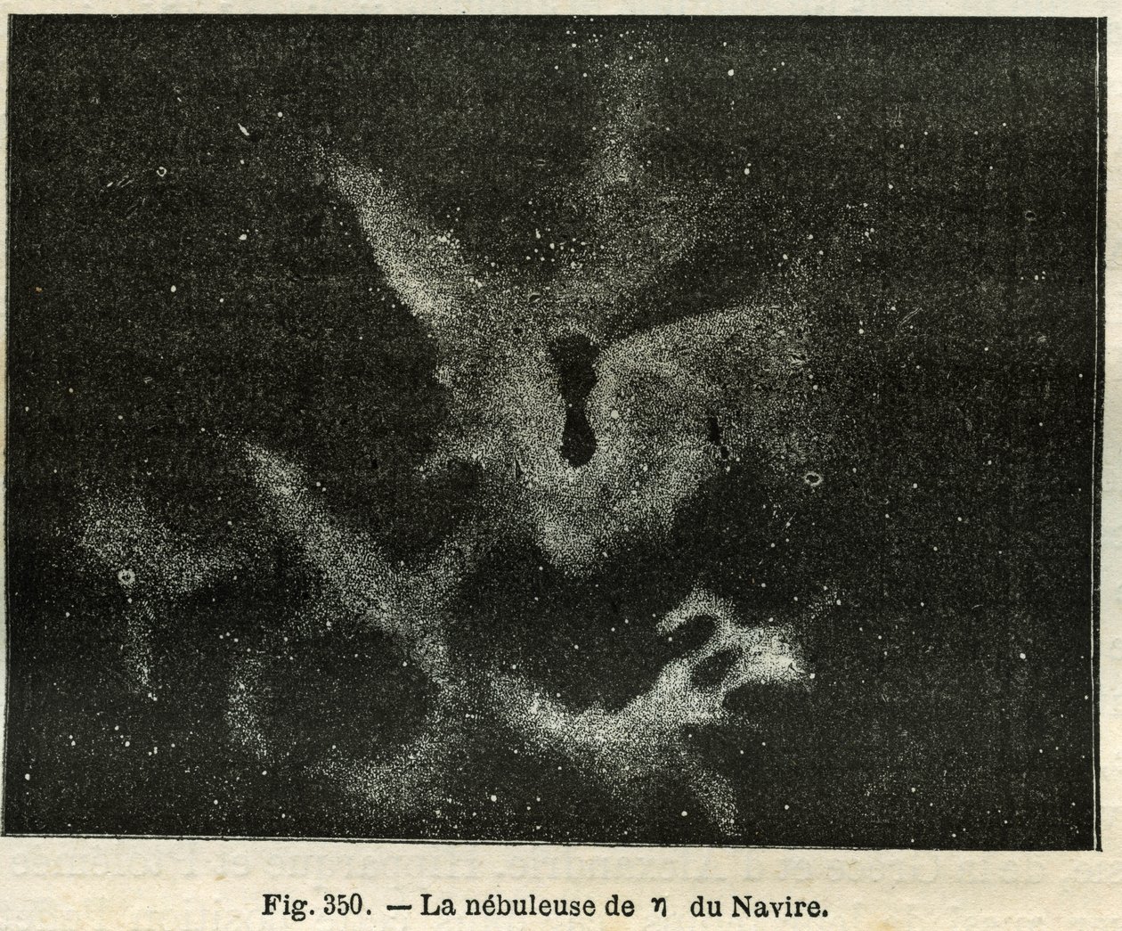 Mgławica statku. Grawer z „Gwiazdy i inne osobliwości nieba” Camille Flammarion autorstwa Unbekannt