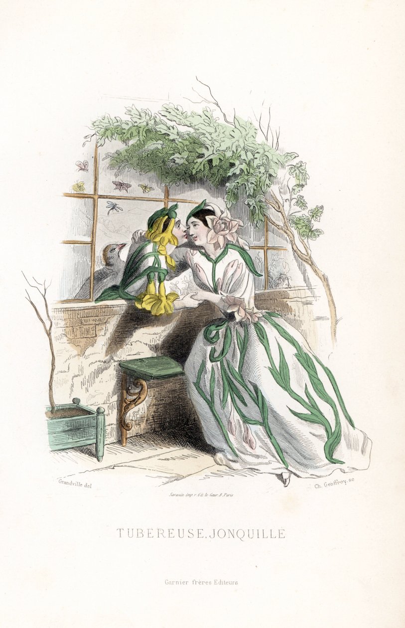 Żonkil bulwiasty i elf zalecają się do siebie na ławce ogrodowej przy murze - Eau forte autorstwa Charlesa Geoffroya (1819-1882), na podstawie ilustracji Jeana Ignace