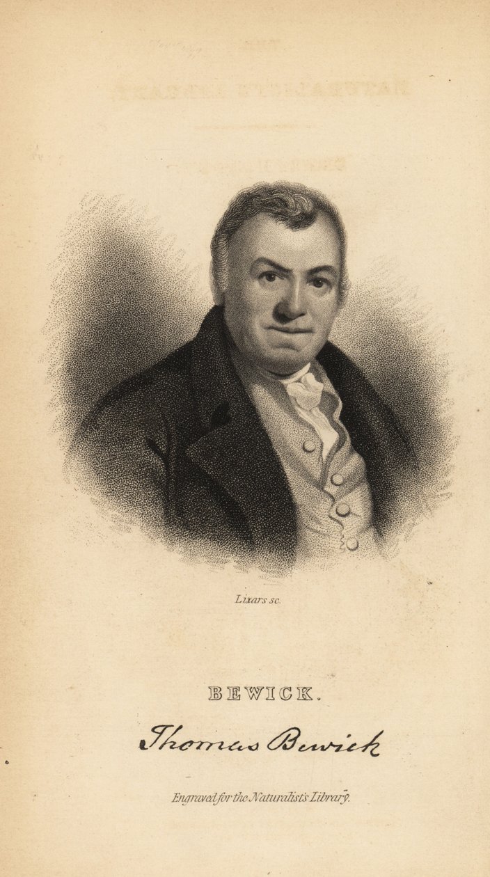 Thomas Bewick, angielski rytownik i autor historii naturalnej autorstwa Unbekannt
