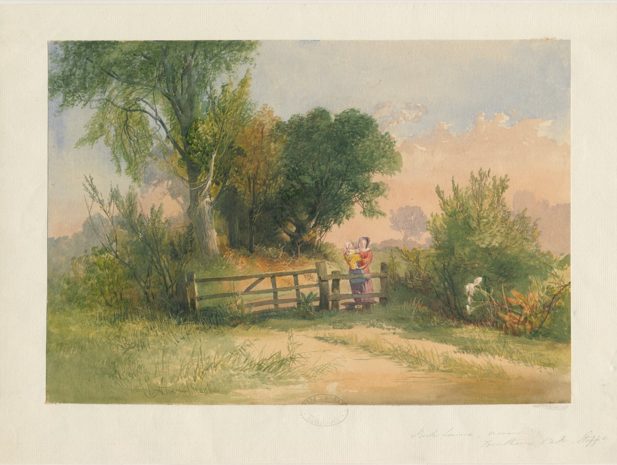 Trentham - Park Lane: malarstwo akwarela, nd [?XIX wiek] autorstwa Unbekannt
