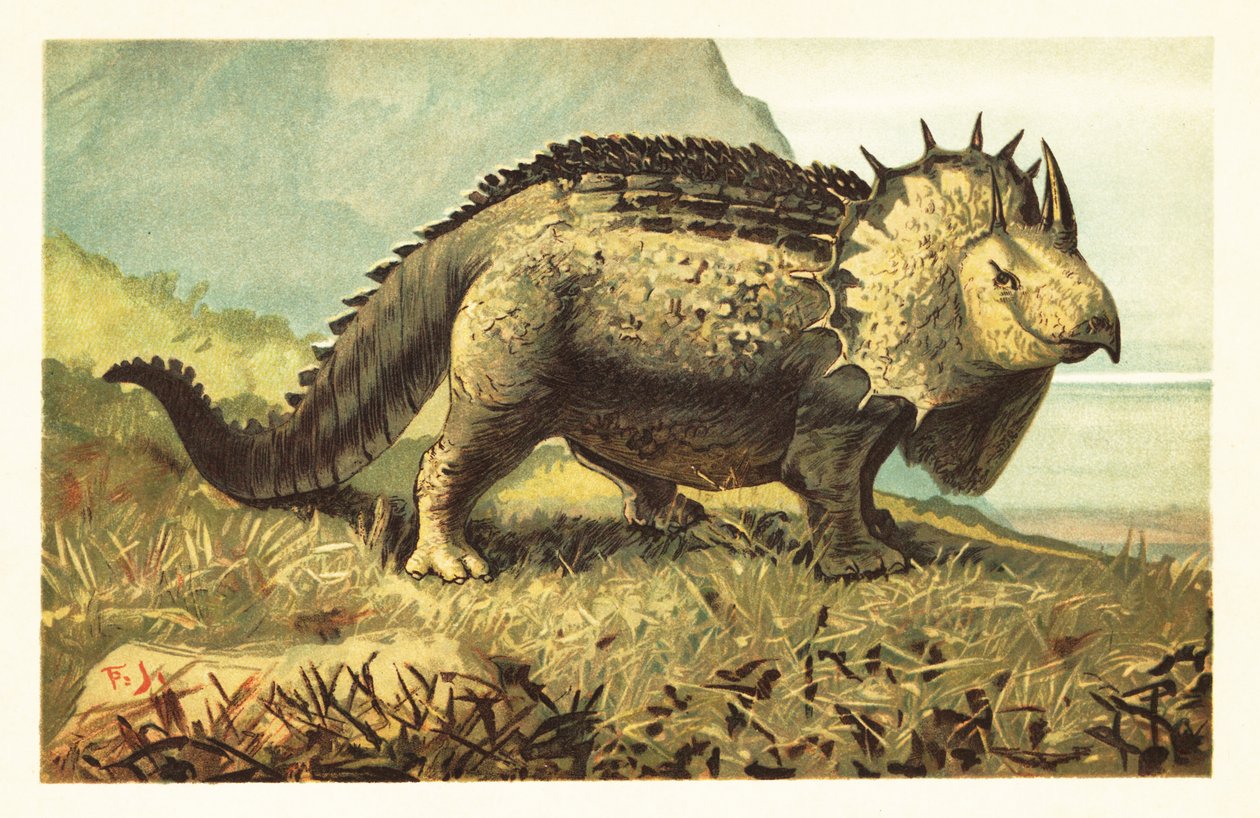 Triceratops prorsus, wymarły dinozaur roślinożerny.1908 (litografia) autorstwa Unbekannter Künstler