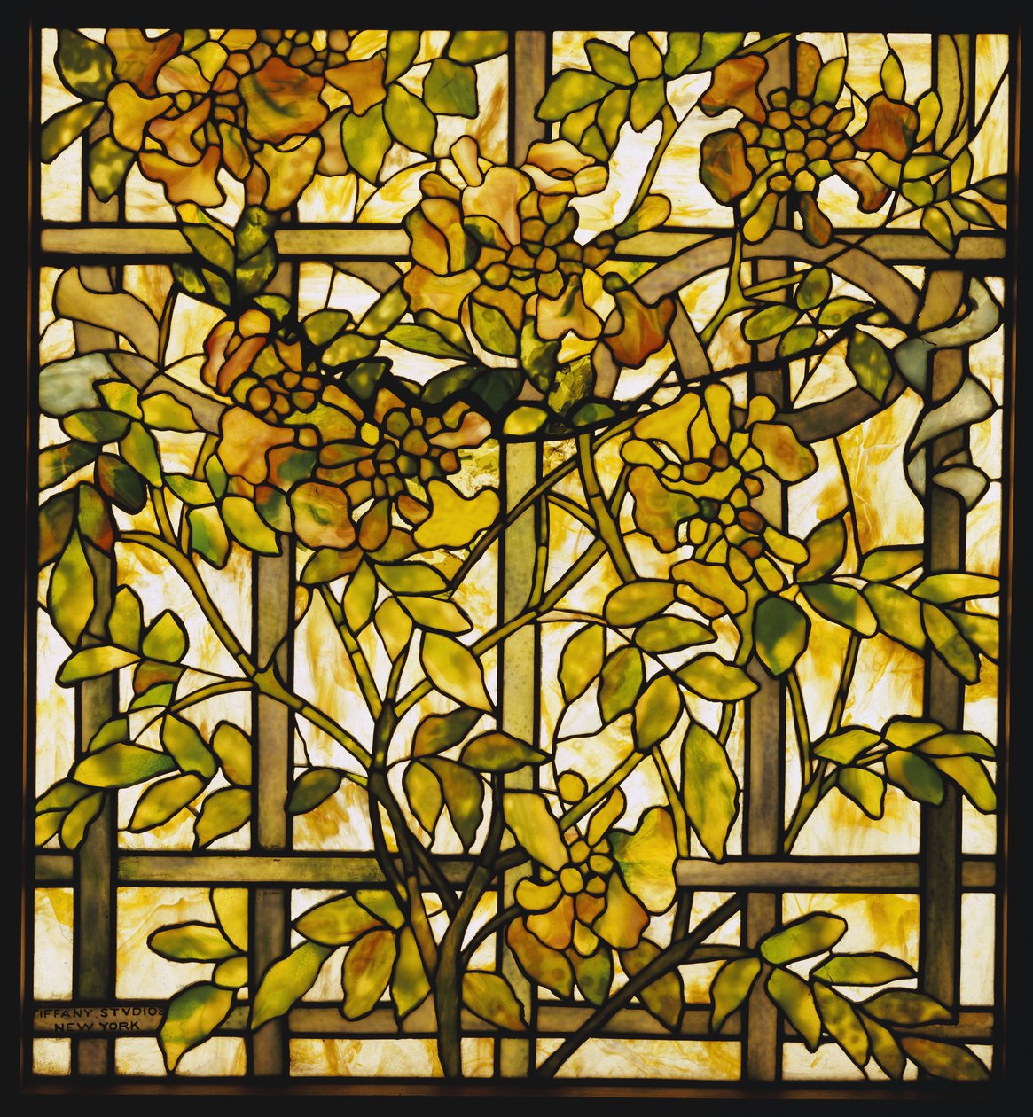 Szklane okno Trąbka Vine, Tiffany Studios autorstwa Unbekannt
