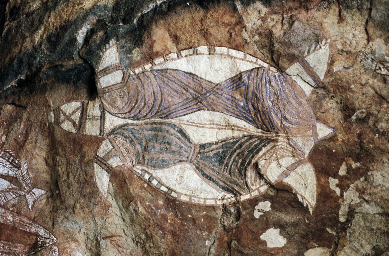 Żółw, malarstwo naskalne, Ziemia Arnhema, Terytorium Północne, Australia, kultura Aborygenów autorstwa Benjamin Baud
