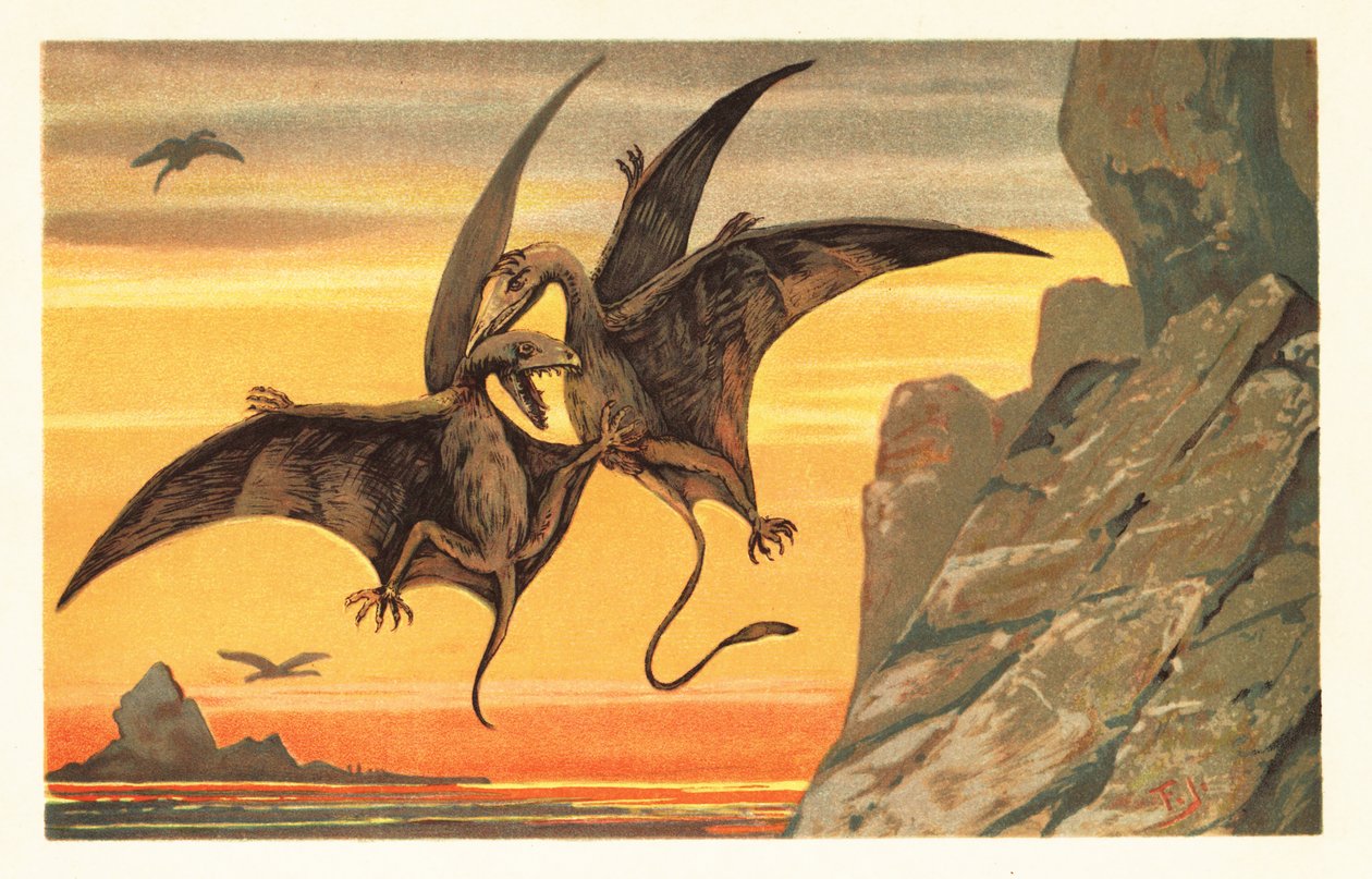 Dwa pterodaktyle walczące w locie na szkarłatnym niebie.1908 (litografia) autorstwa Unbekannter Künstler