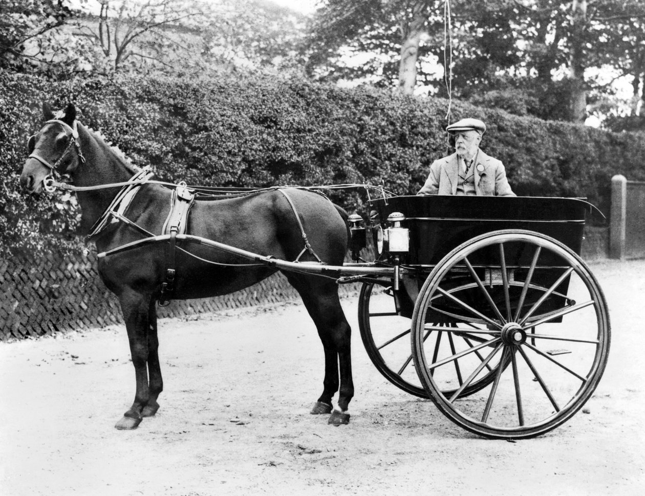 Wielka Brytania: Koń i pułapka. c1905 autorstwa Unbekannt