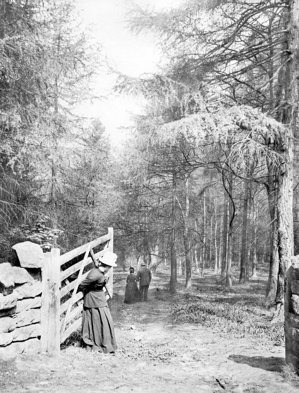 Wielka Brytania : Eaton Woods, ok. 1890 r. autorstwa Unbekannt