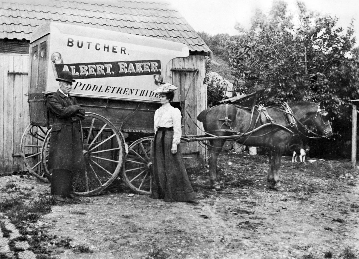 Wielka Brytania : Wózek rzeźnika. Piddletrentide, ok. 1900 autorstwa Unbekannt