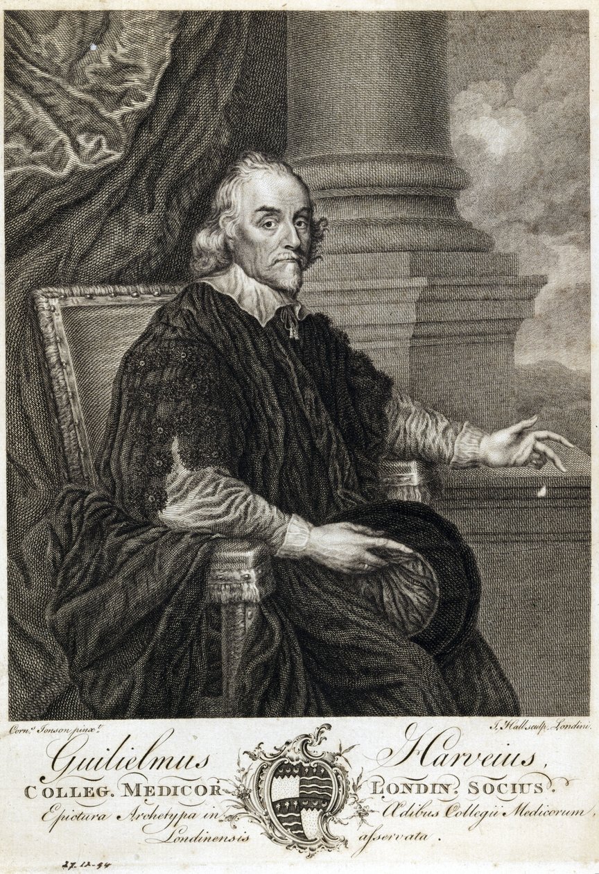William Harvey, angielski lekarz autorstwa Unbekannt