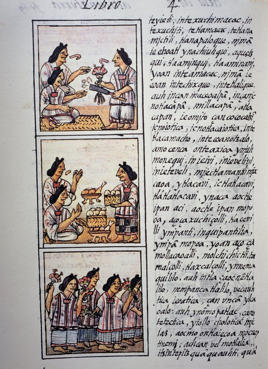 Kobiety przygotowujące ucztę, Księga IV kodeksu florenckiego, wersja dwujęzyczna w języku hiszpańskim i nahuatl, Historia ogólna rzeczy Nowej Hiszpanii (Historia general de las cosas de Nueva Espana), cywilizacja Azteków autorstwa William M. Timlin