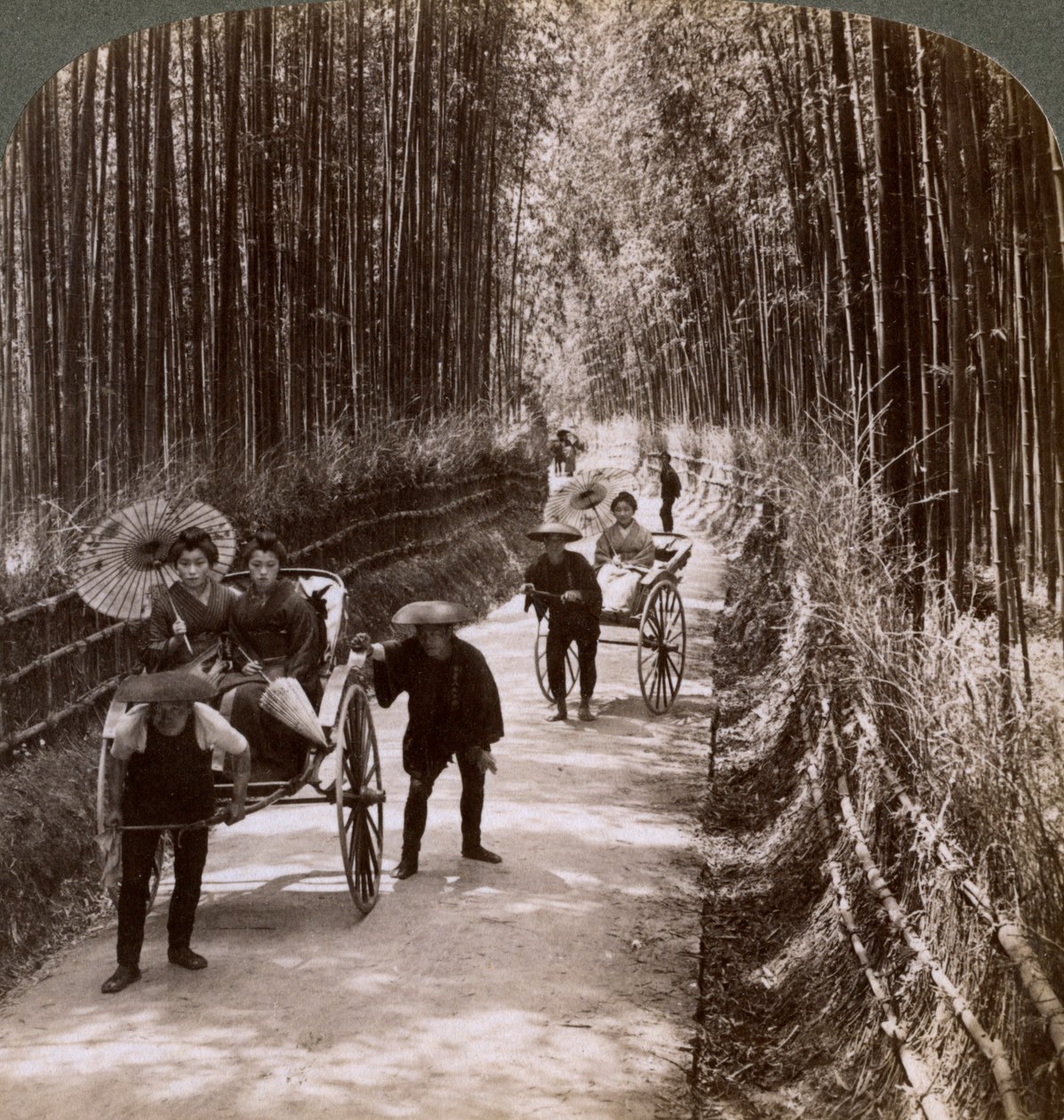 Aleja bambusowa, patrząc na południowy zachód, niedaleko Kiyomizu, Kioto, Japonia, 1904 autorstwa Underwood and Underwood