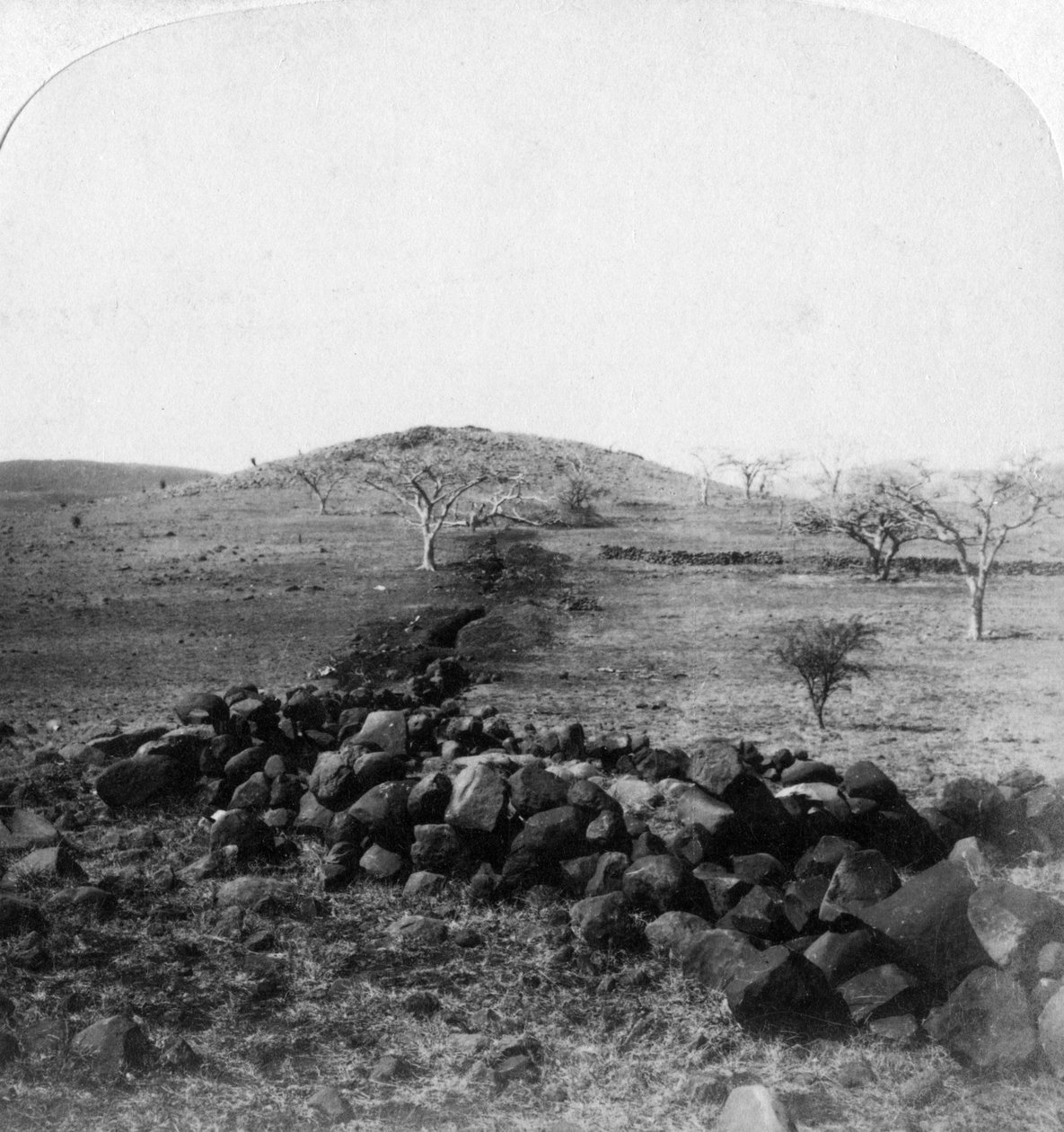 Okopy burskie i herb Harts Hill, scena słynnej szarży Brygad Irlandzkich, Colenso, 1901 autorstwa Underwood and Underwood