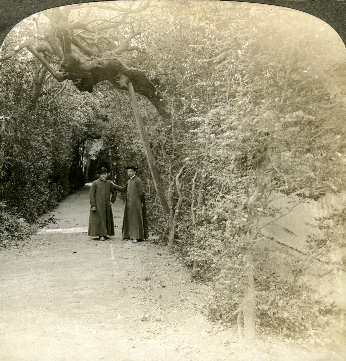 Altana św Antoniego, Ogrody Watykańskie, Rzym, Włochy. autorstwa Underwood and Underwood