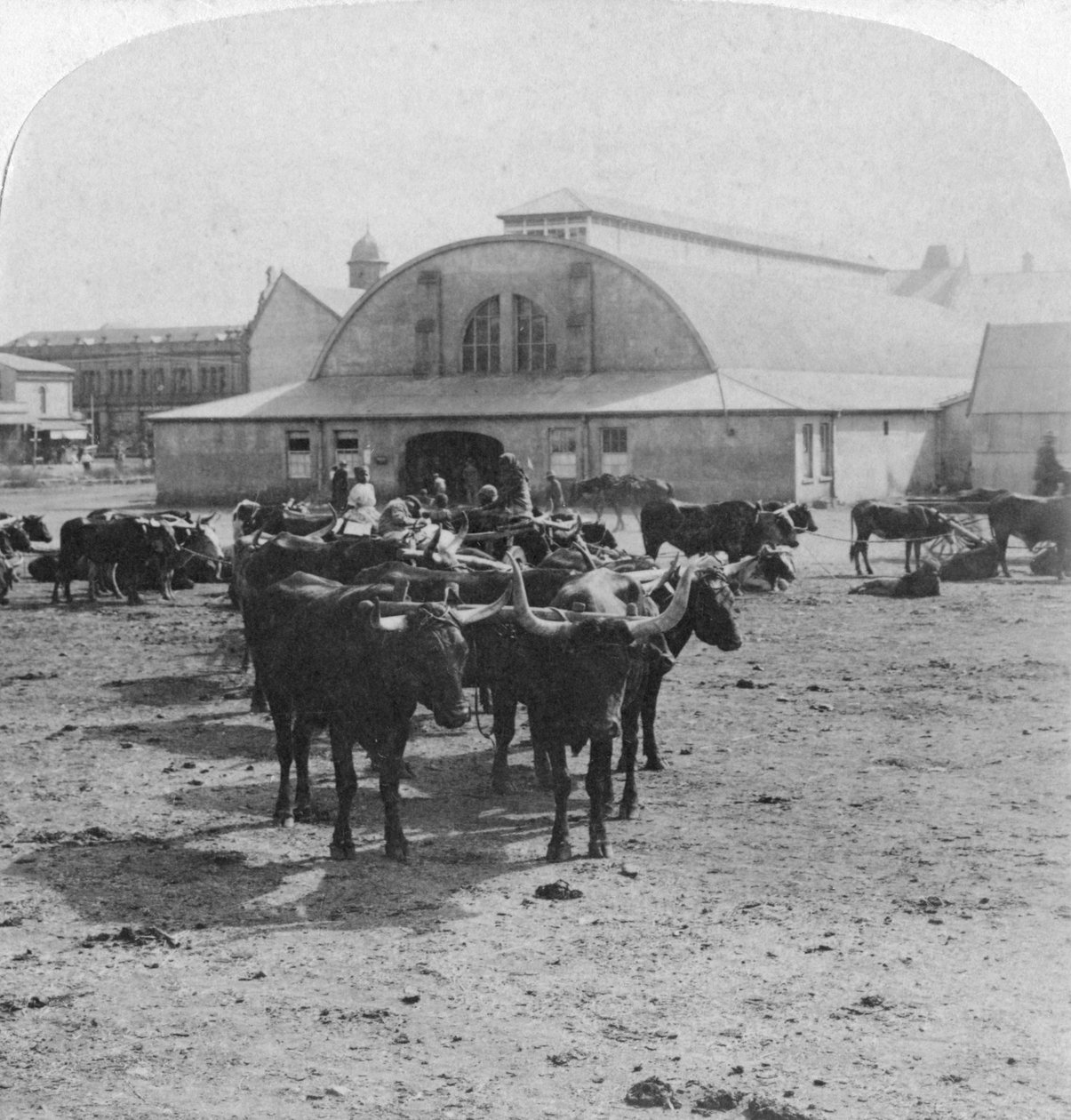 Budynek, w którym sądzono jeńców wojennych, Pretoria, RPA, wojna burska, 1901 autorstwa Underwood and Underwood