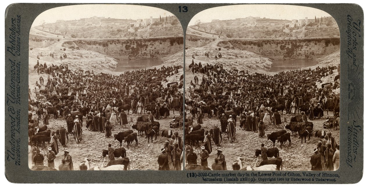 Dzień targu bydła, w dolnym basenie Gihon, Dolina Hinnoma, Jerozolima, Palestyna, 1900. autorstwa Underwood and Underwood