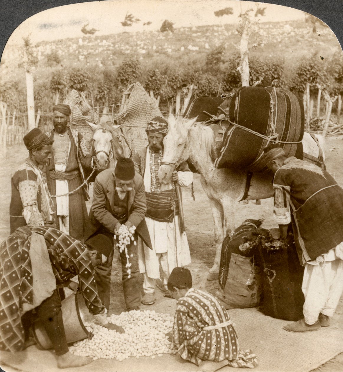 Eksperci skupujący kokony jedwabne na eksport do Francji, Antiochii, Syrii, lata 1900. autorstwa Underwood and Underwood
