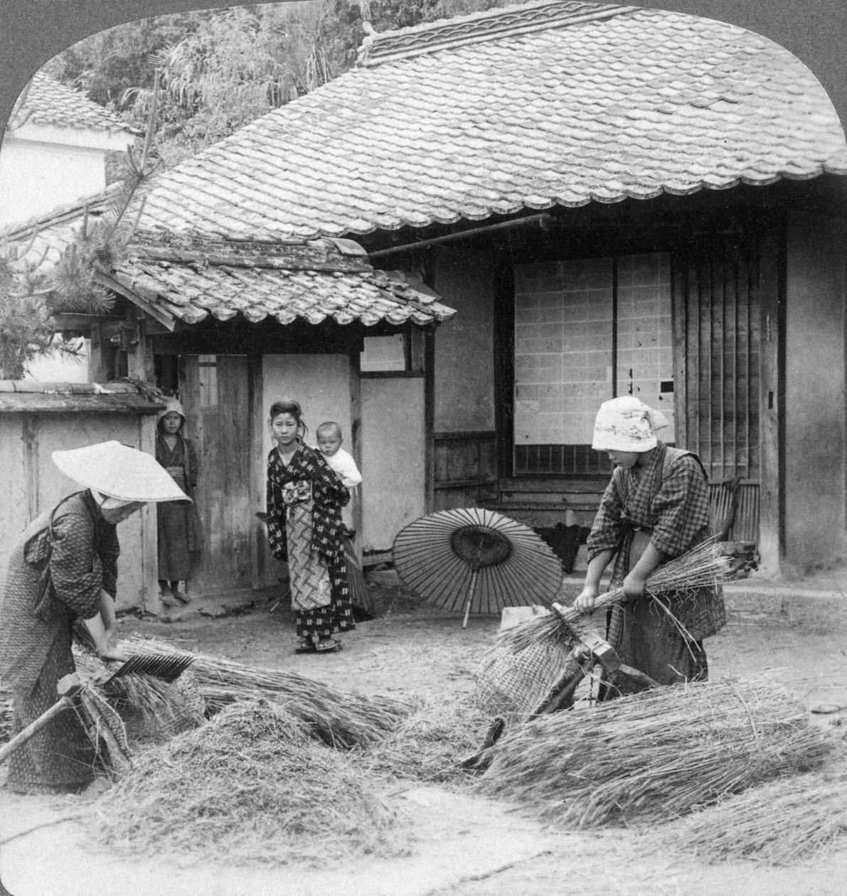 Żony rolników przy pracy, Iwakuni, Japonia, 1904. autorstwa Underwood and Underwood