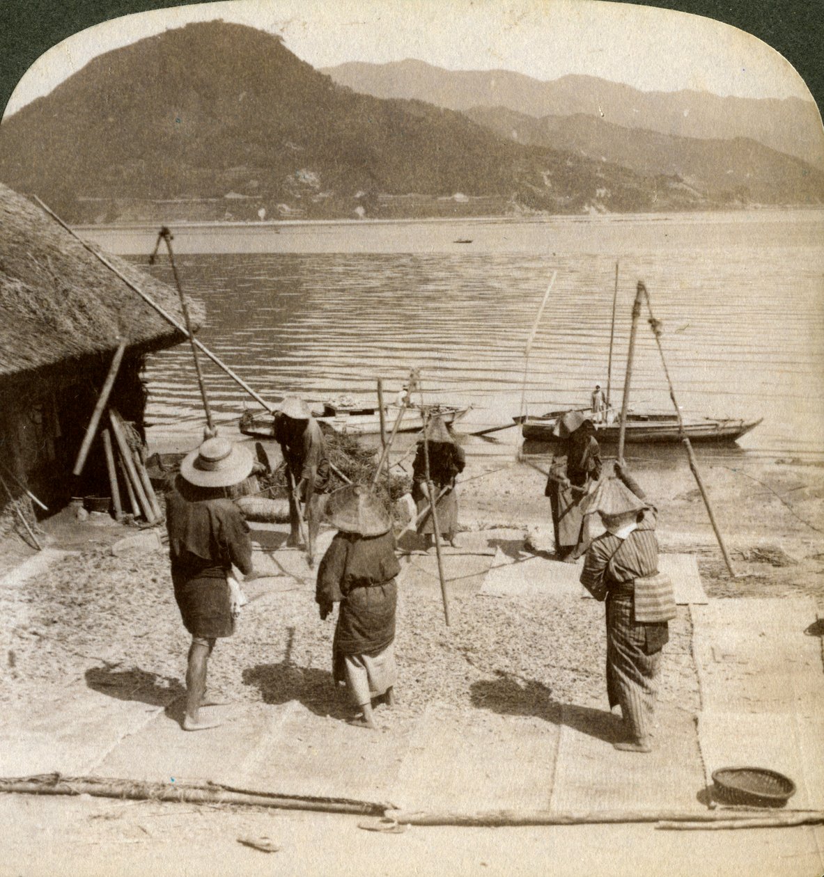 Młócenie jęczmienia na plaży rybackiej na Morzu Śródlądowym, Japonia, 1904. autorstwa Underwood and Underwood