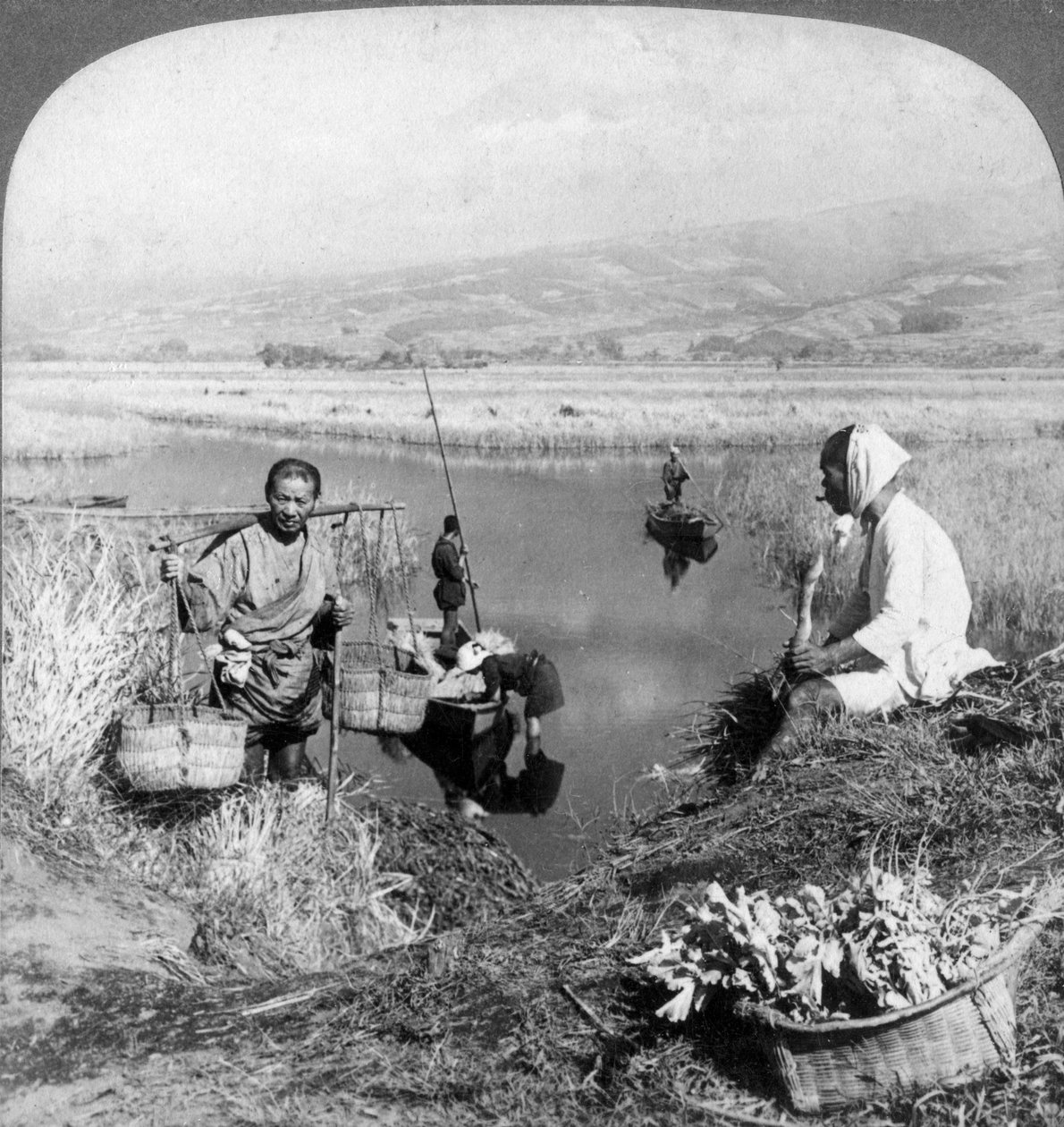 Men gathering rushes near Suzukawa, Fujiyama, Japan, 1904. autorstwa Underwood and Underwood