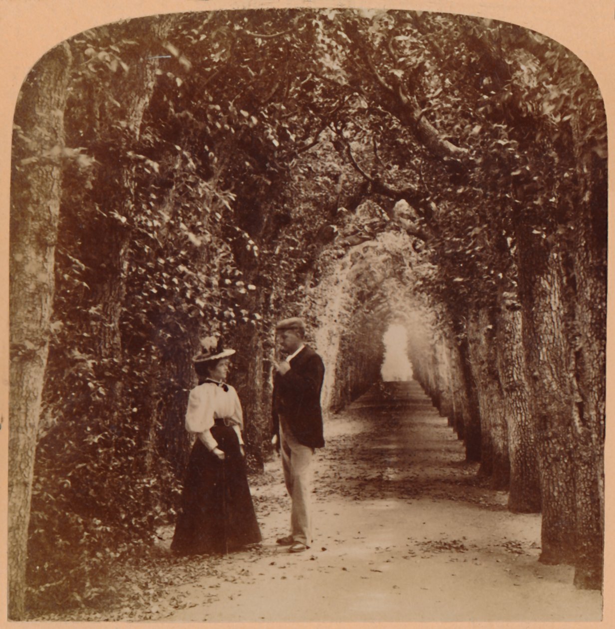 Queen Marys Bower, Hampton Court, Londyn, Anglia, 1896. autorstwa Underwood and Underwood