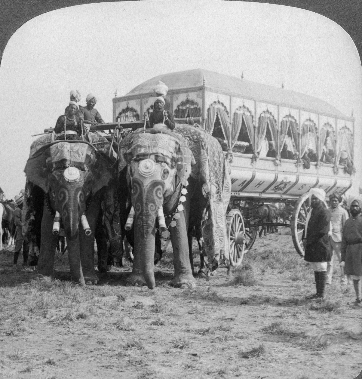 Bogato zdobione słonie i kareta Maharadży Rewy w Delhi Durbar, Indie, 1903 autorstwa Underwood and Underwood