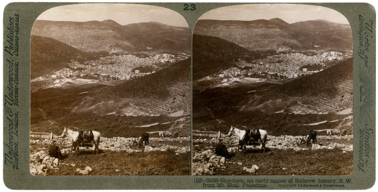 Sychem, na południowy zachód od góry Ebal, Palestyna, 1900. autorstwa Underwood and Underwood