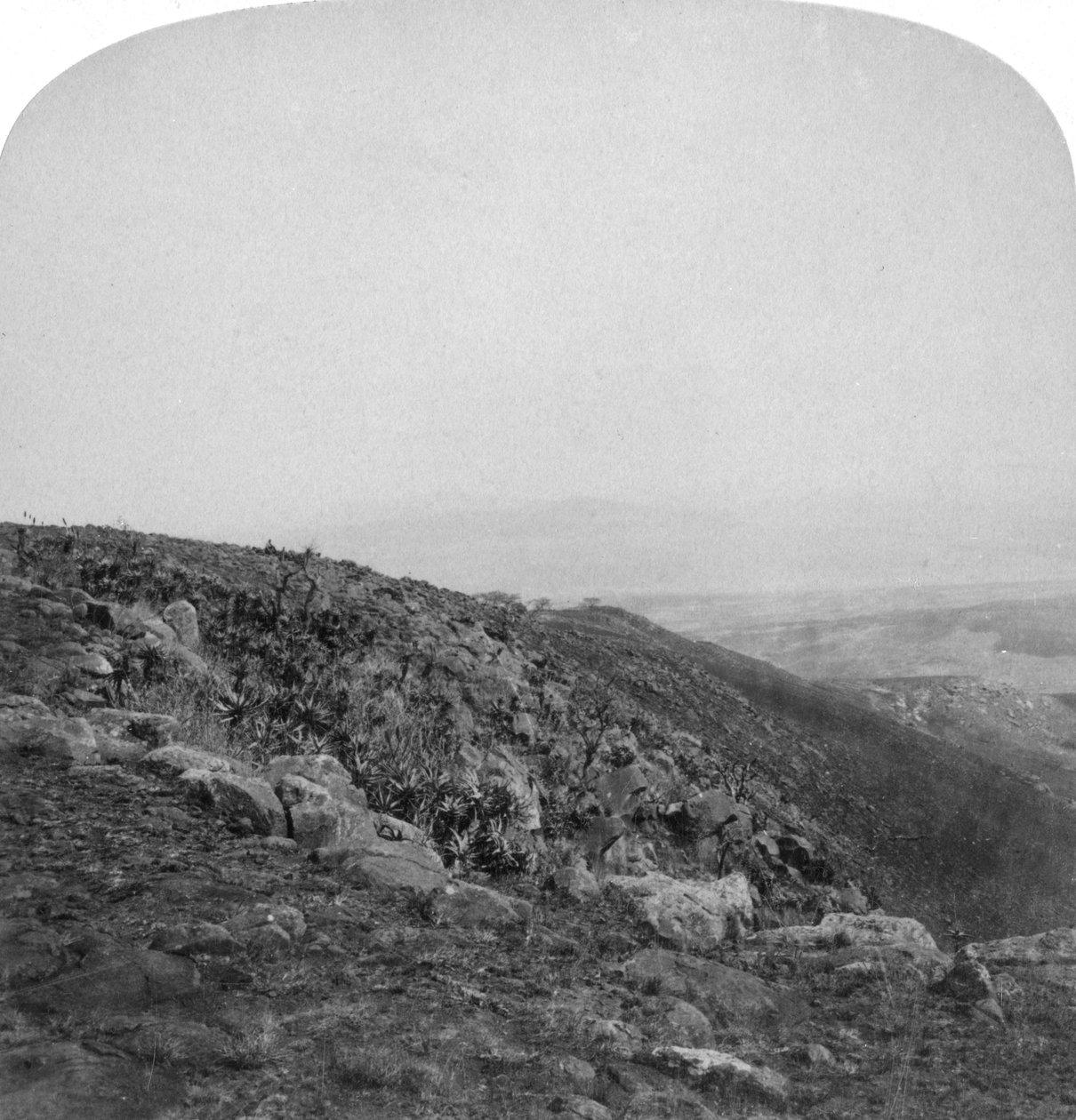 Południowe zbocze Spion Kop, Republika Południowej Afryki, wojna burska, 1901. autorstwa Underwood and Underwood
