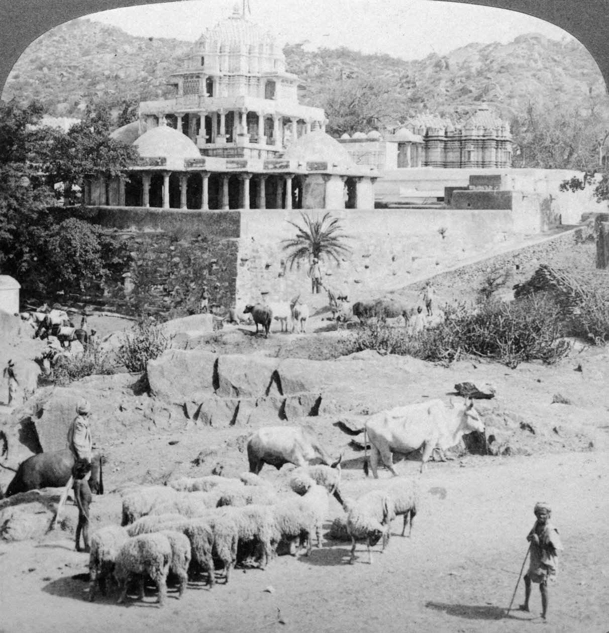 Świątynie dżinistów, Mount Abu, Indie, 1902. autorstwa Underwood and Underwood