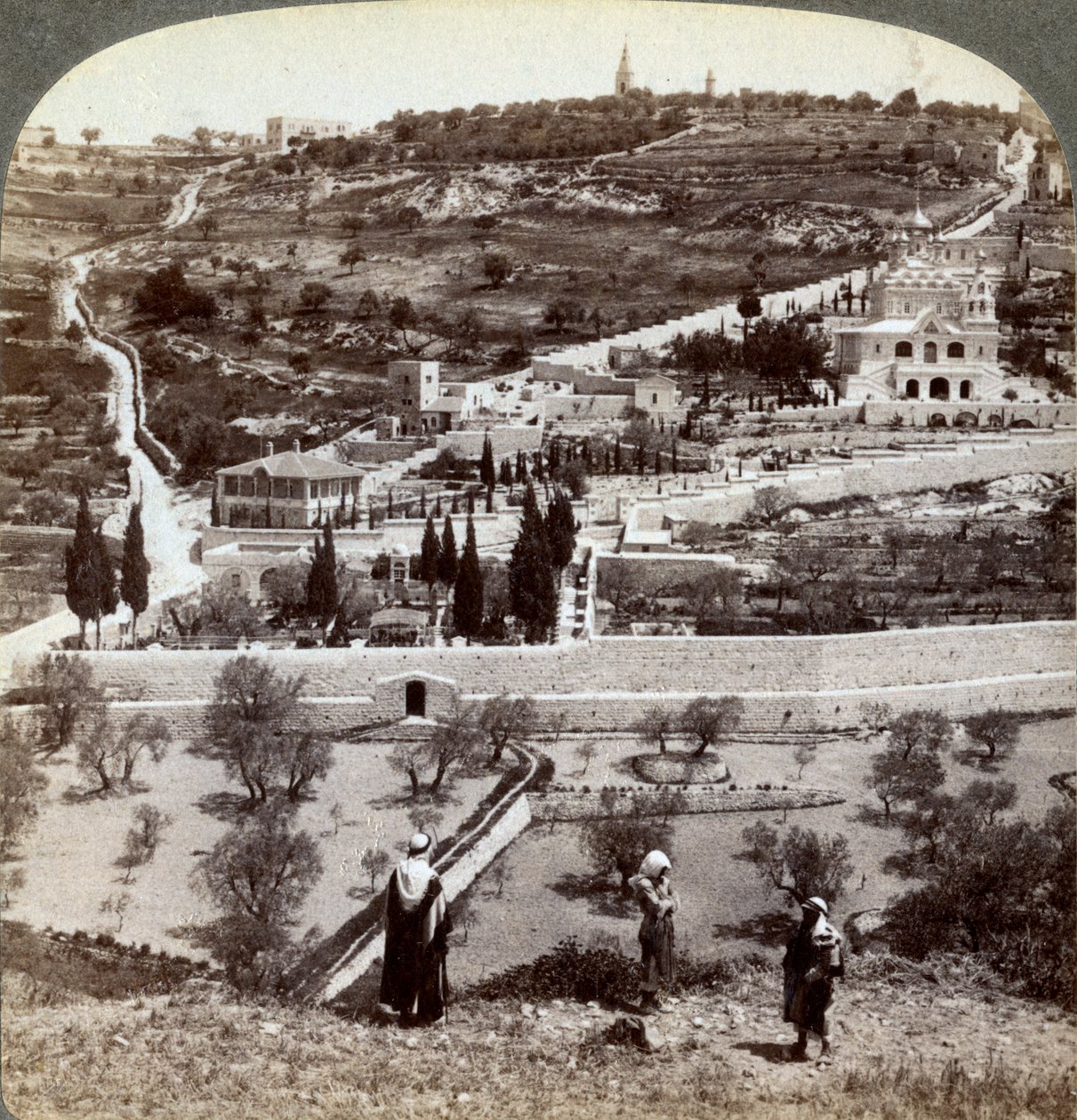 Ogród Getsemani i Góra Oliwna, Palestyna, 1908. autorstwa Underwood and Underwood