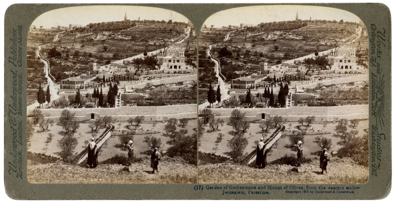Ogród Getsemani i Góra Oliwna, Palestyna, 1908. autorstwa Underwood and Underwood