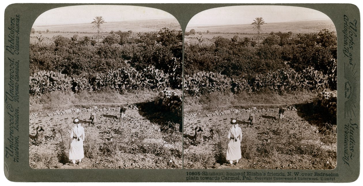 Widok na północny-zachód z Shunem, przez równinę Ezdrelon, w kierunku Karmelu, 1900. autorstwa Underwood and Underwood