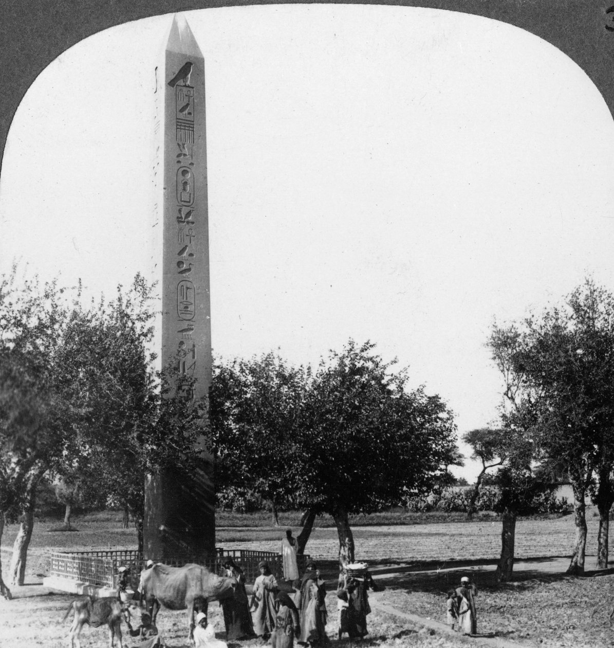 Obelisk Heliopolis, Egipt, 1905. autorstwa Underwood and Underwood
