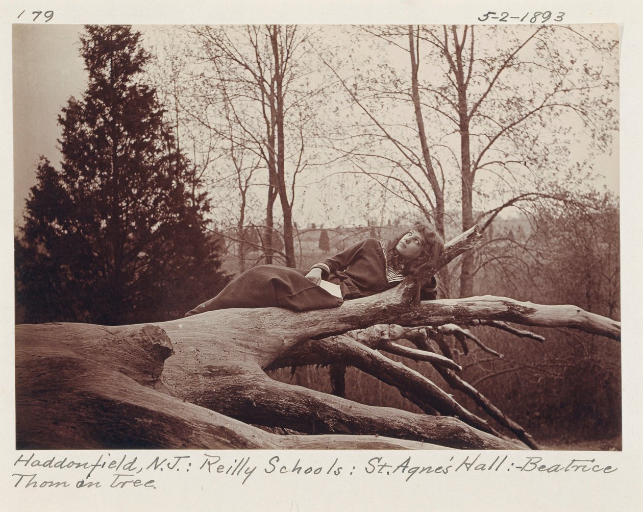 [Beatrice Thom na drzewie, Haddonfield, New Jersey]. autorstwa Unidentified