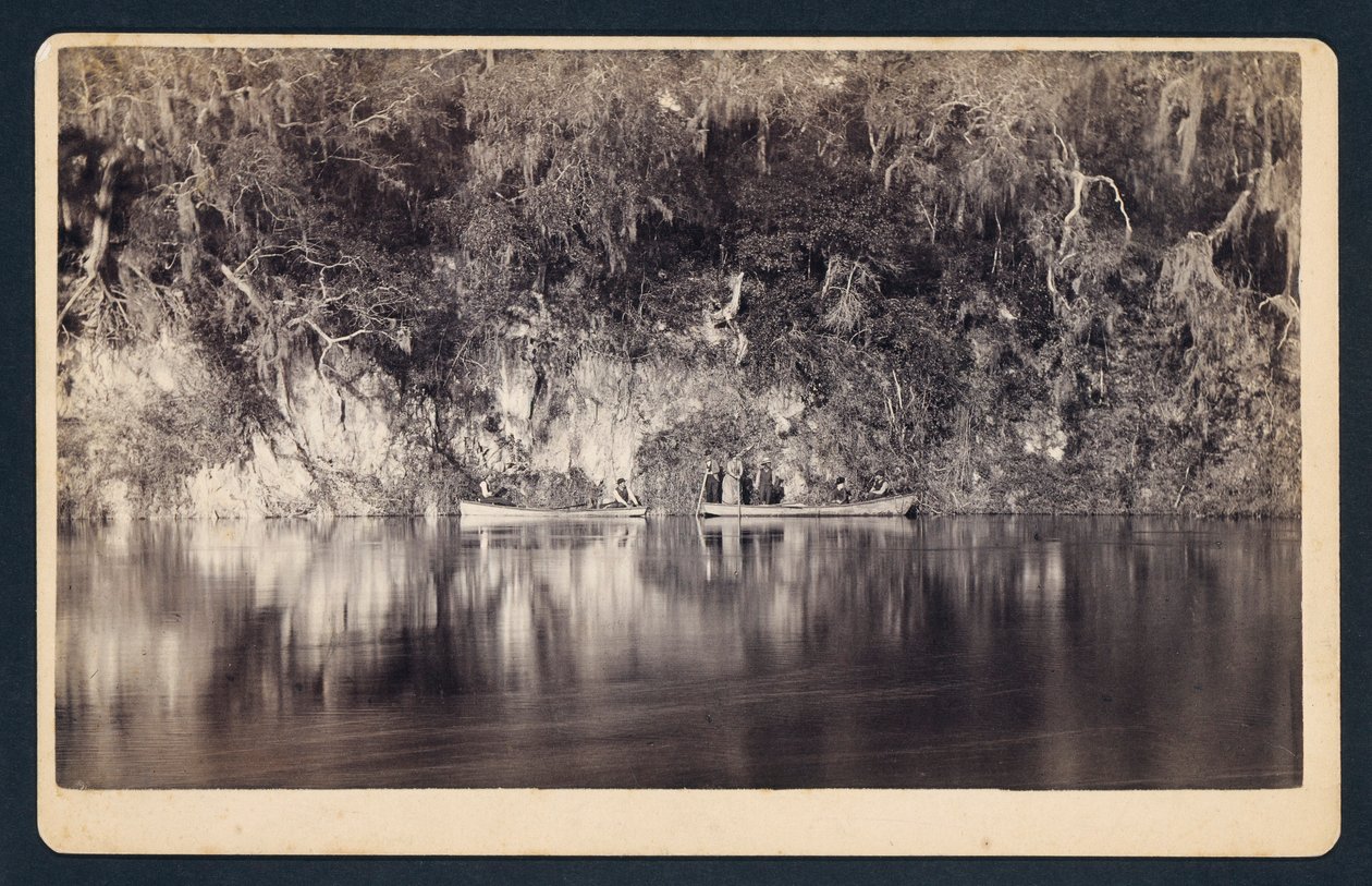 [Pod urwiskami rzeki Withlacoochee, Floryda]. autorstwa Unidentified