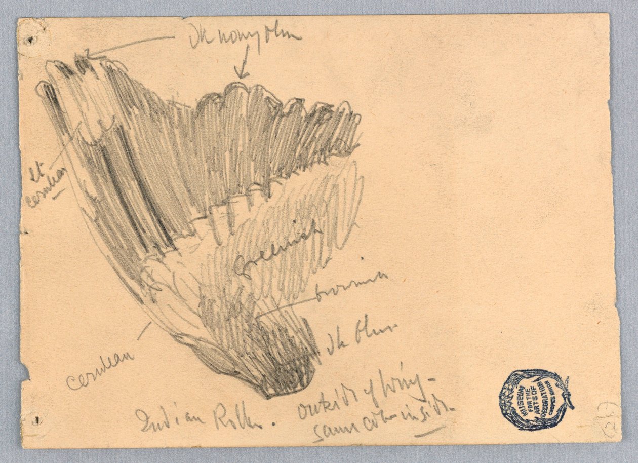 Rysunek autorstwa Unknown