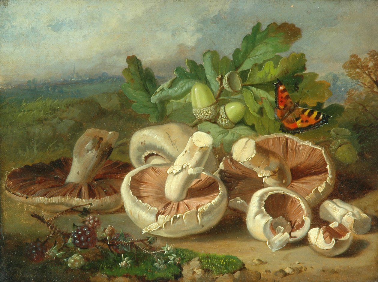 Martwa natura z grzybami itp., 1859 autorstwa Unknown