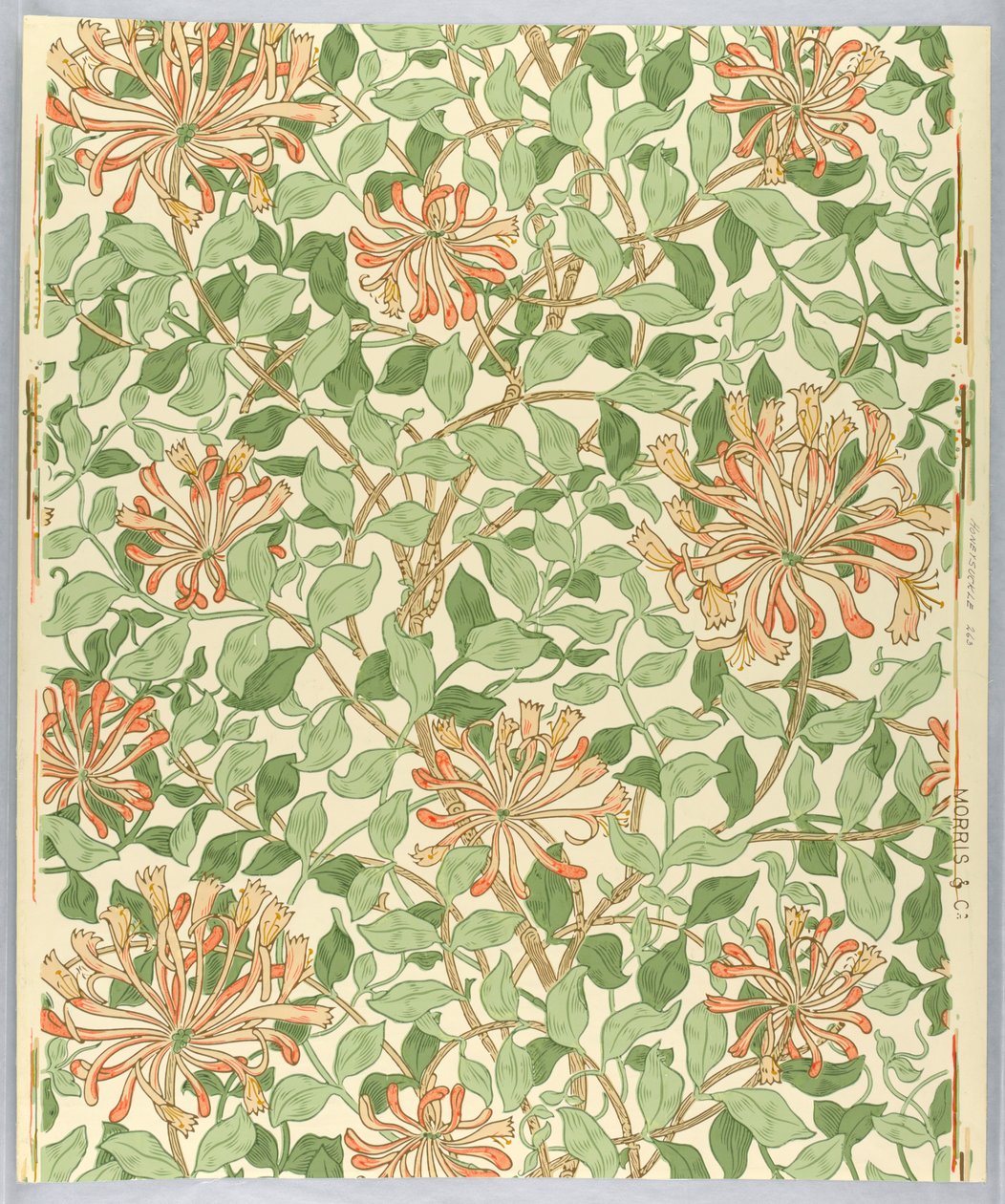 Ściana boczna, Wiciokrzew, 1883 autorstwa Unknown