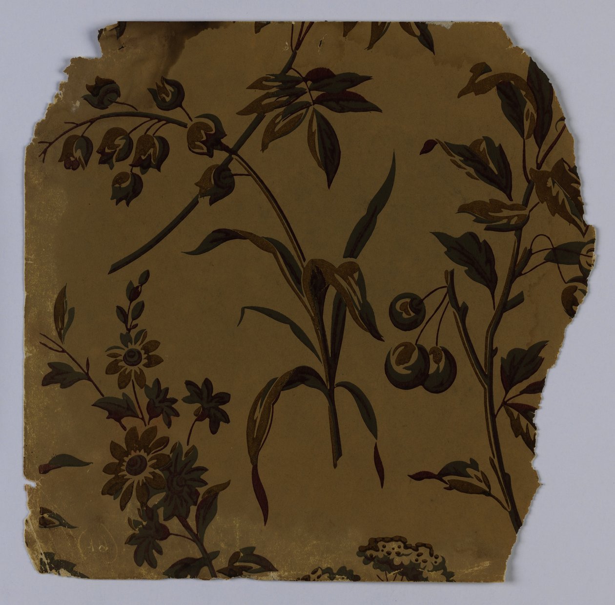 Próbka ściany bocznej, 1880–90 autorstwa Unknown