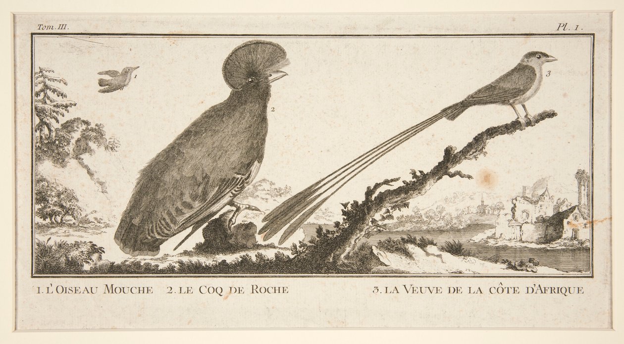 1. L autorstwa Unknown