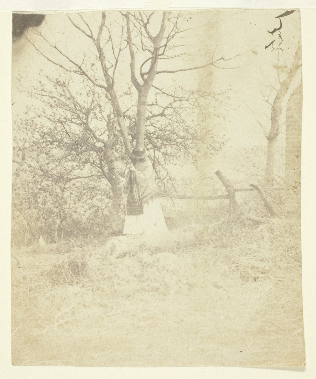 Pani Craik autorstwa Unknown