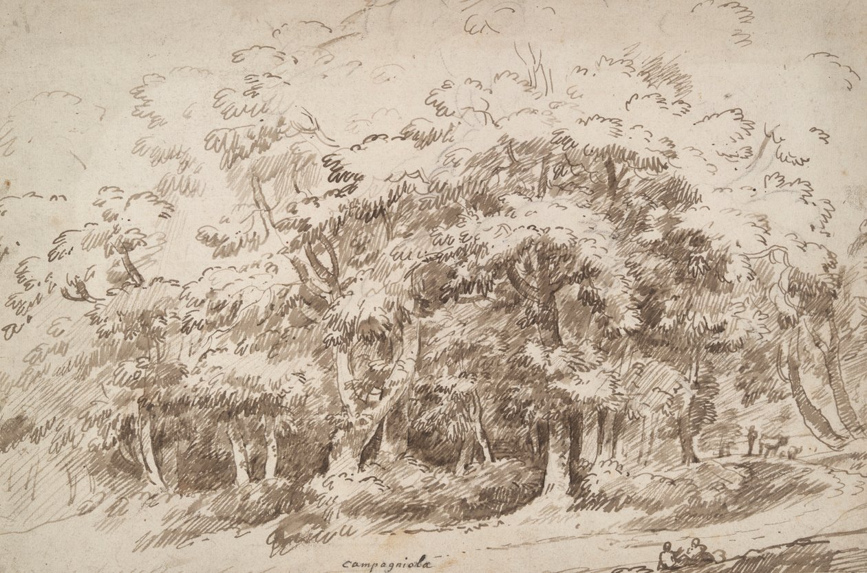 Studium Drzew autorstwa Unknown