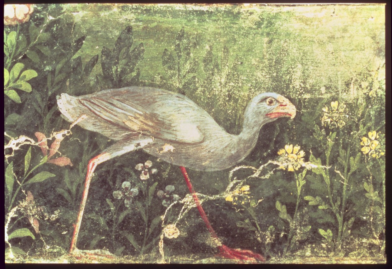 Malowidło ścienne przedstawiające kurę sułtańską w ogrodzie, Pompeje, I w. n.e. autorstwa Unknown