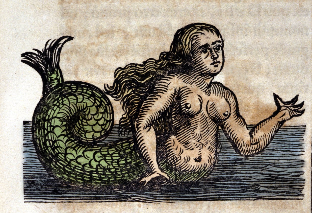 Syrena, Legendarna Osoba - Rycina z dzieła Atanazego Kirchera (1601 - 1680), jezuity, orientalisty i niemieckiego uczonego autorstwa Unknown artist