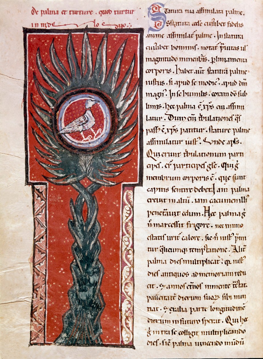 Gołąb gniazdujący na palmie (miniaturowy) autorstwa Unknown artist